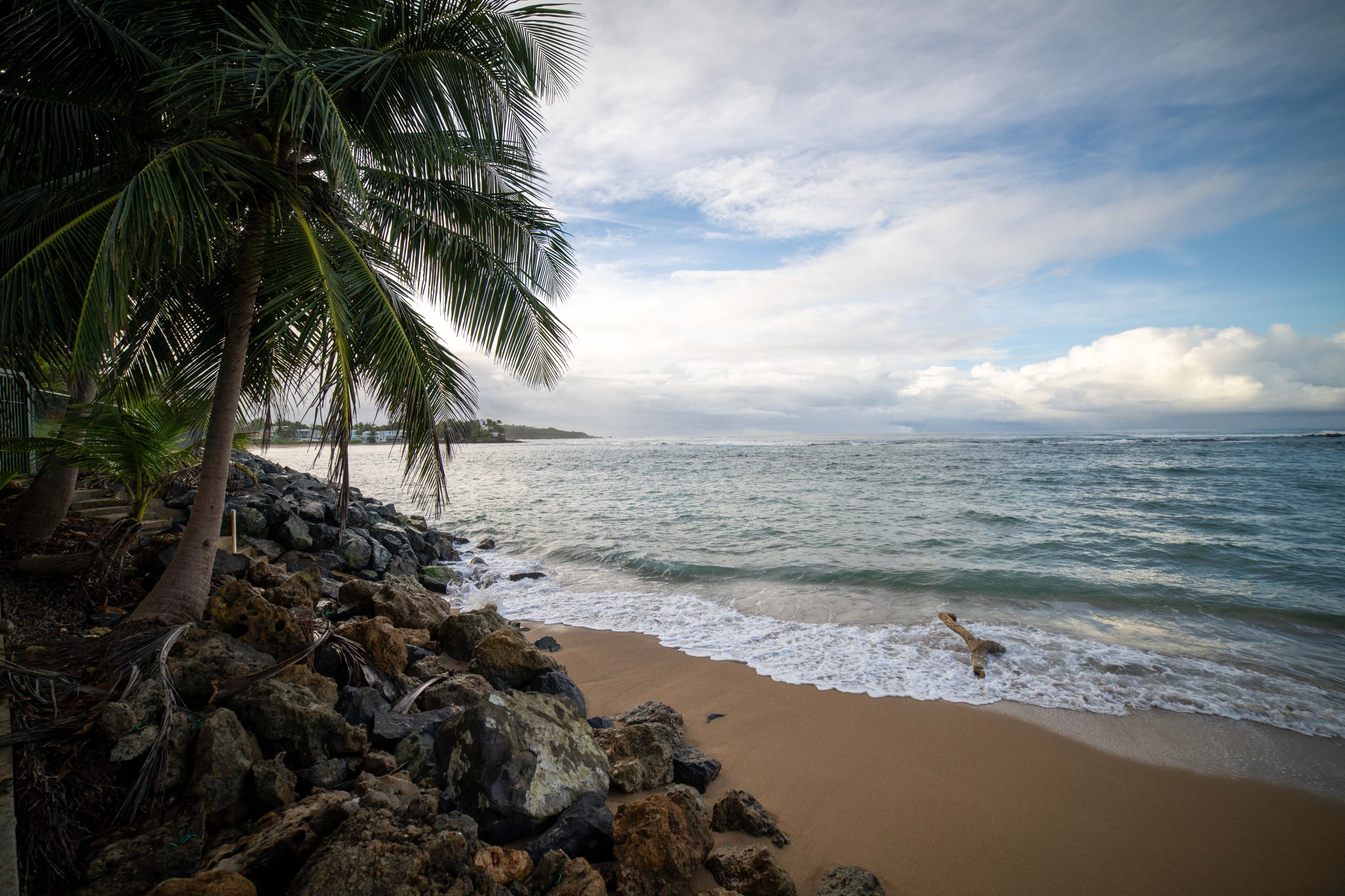 Palm-lined shoreline at the villa's beach