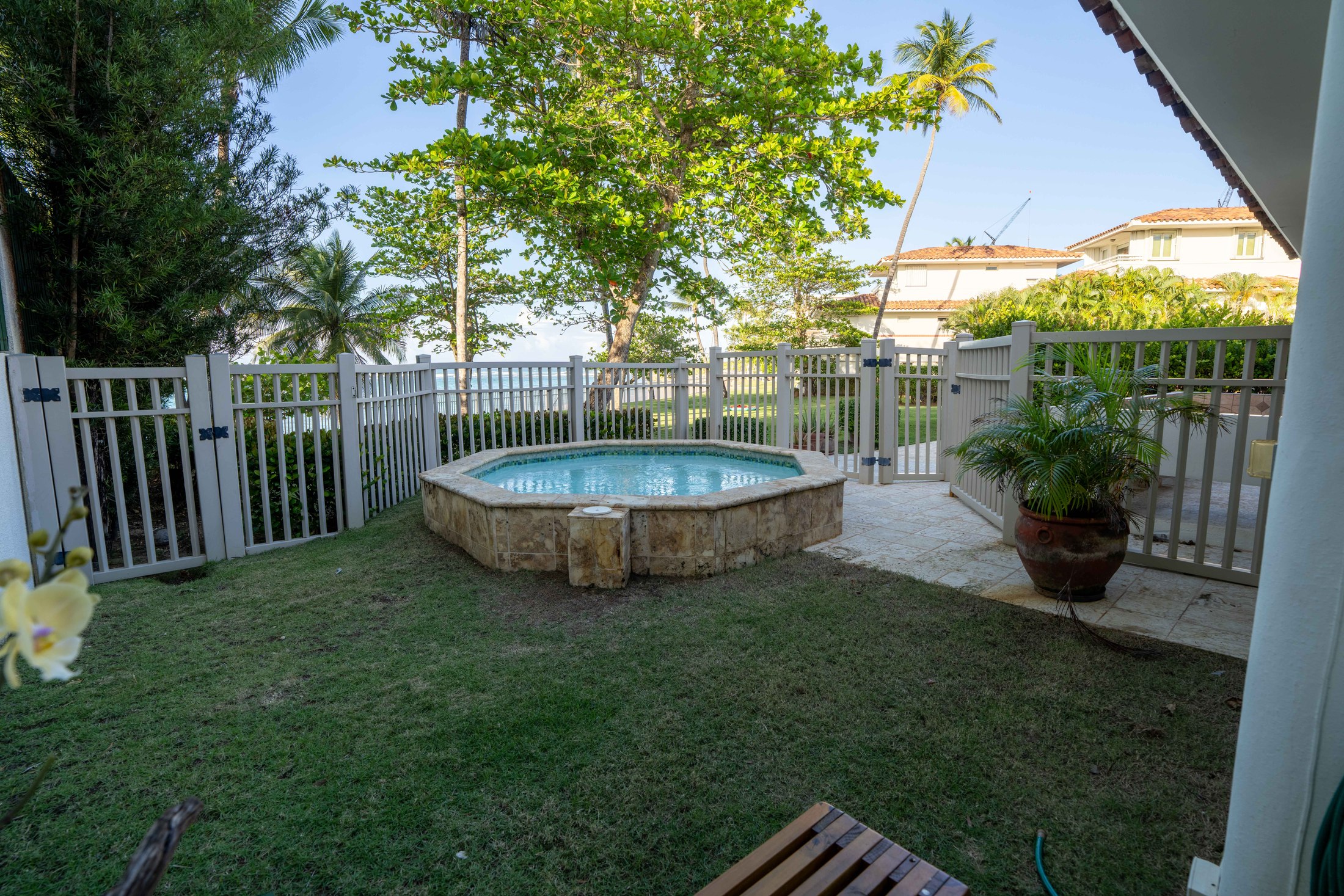 Hot tub framed by palms and privacy fencing